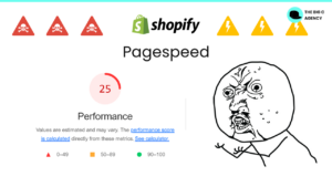 Shopify Pagespeed Probleme