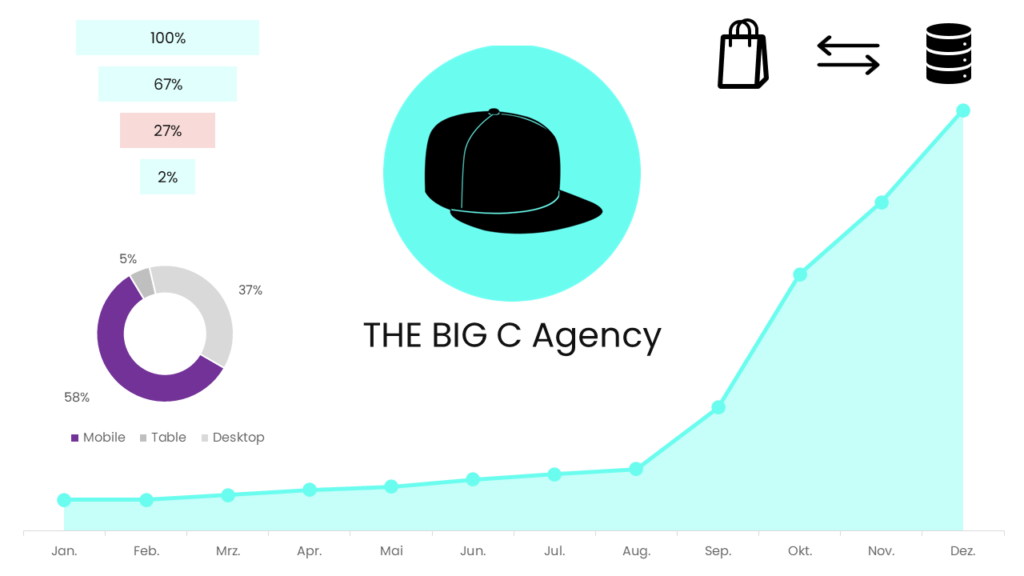 Shopify Tracking Agentur THE BIG C Agency